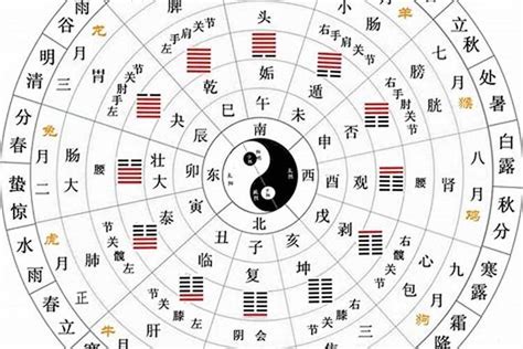 日干五行|十二天干地支五行对照表 天干地支配对表